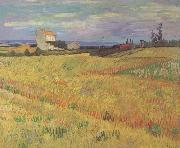 Vincent Van Gogh Wheat Field (nn04) china oil painting artist